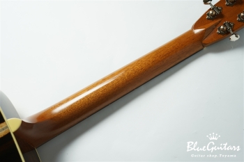 D-28B Brazilian Rosewood / Adirondack Spruce [サウンドメッセin大阪2024]